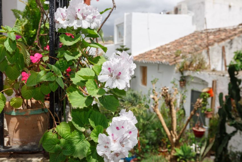R5123968-Villa-For-Sale-Estepona-Semi-Detached-4-Beds-116-Built-7