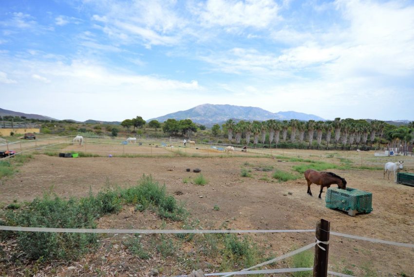 R4332358-Villa-For-Sale-Mijas-Finca-9-Beds-869-Built-19