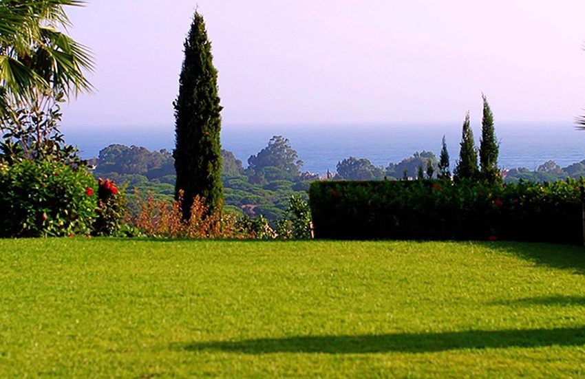 R4687141-Villa-For-Sale-Elviria-Detached-6-Beds-690-Built-3