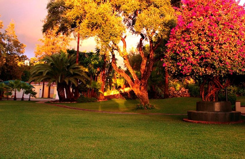 R4687141-Villa-For-Sale-Elviria-Detached-6-Beds-690-Built-6