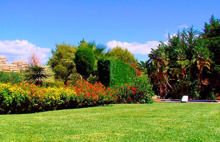 R4687141-Villa-For-Sale-Elviria-Detached-6-Beds-690-Built-7