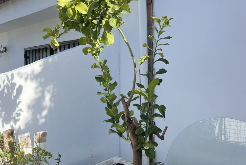 R4949734-Townhouse-For-Sale-Nueva-Andalucia-Terraced-5-Beds-220-Built-17