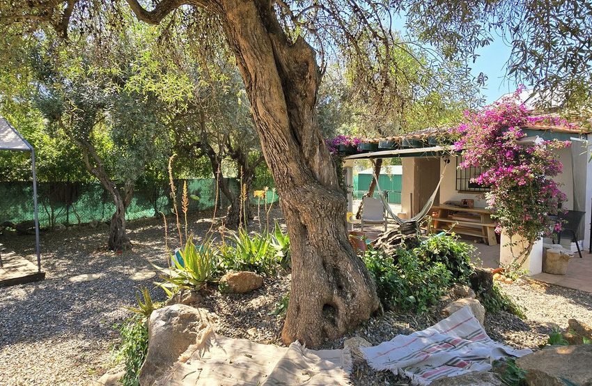 R5054965-Villa-For-Sale-Monda-Detached-3-Beds-75-Built-8
