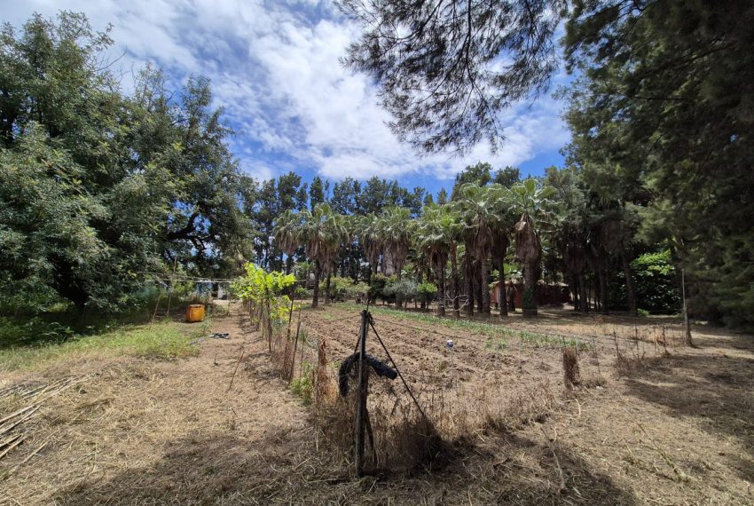 R5055172-Villa-For-Sale-Estepona-Finca-1-Beds-60-Built-4