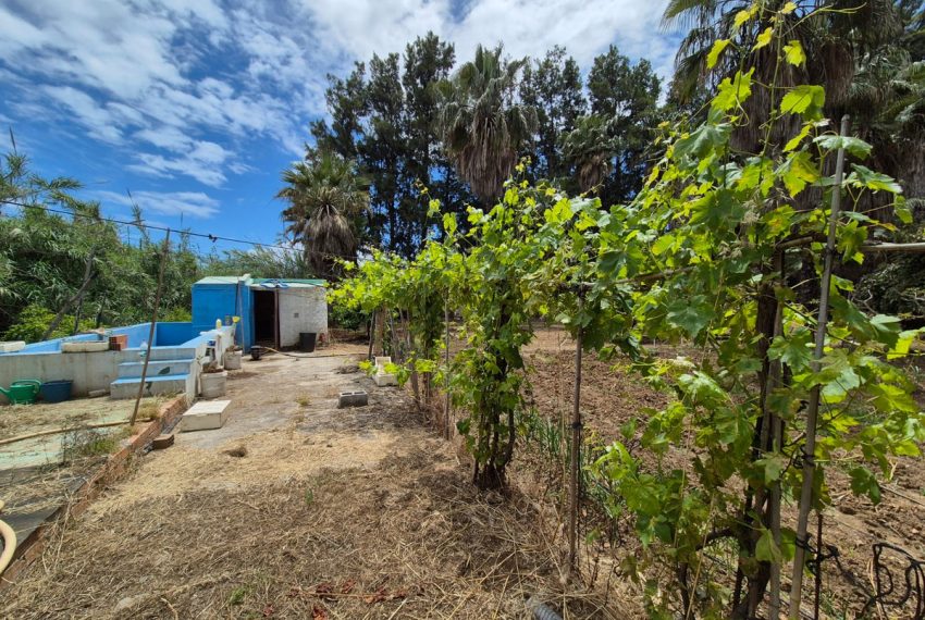 R5055172-Villa-For-Sale-Estepona-Finca-1-Beds-60-Built-5