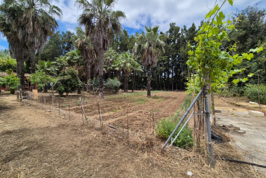 R5055172-Villa-For-Sale-Estepona-Finca-1-Beds-60-Built-8