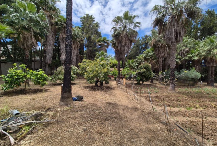 R5055172-Villa-For-Sale-Estepona-Finca-1-Beds-60-Built-9