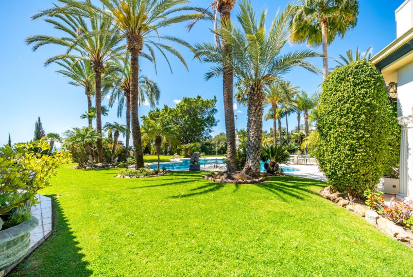 R5073526-Villa-For-Sale-The-Golden-Mile-Detached-14-Beds-2100-Built-8