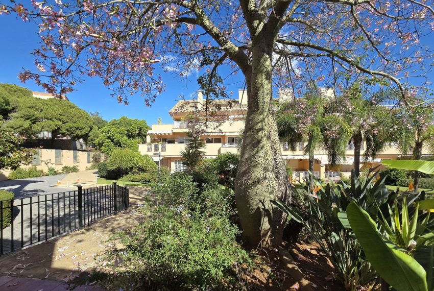 R5136586-Apartment-For-Sale-Elviria-Penthouse-2-Beds-104-Built-4