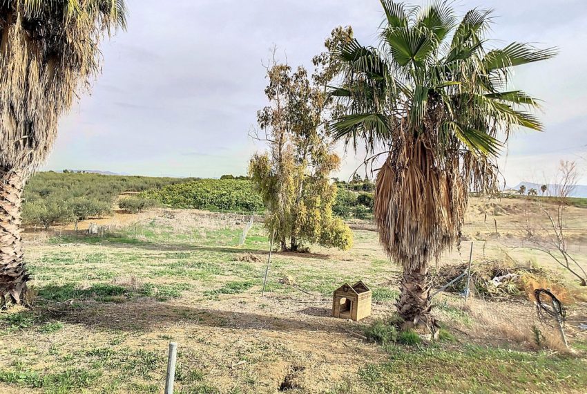R5140843-Villa-For-Sale-Coin-Detached-2-Beds-129-Built-19