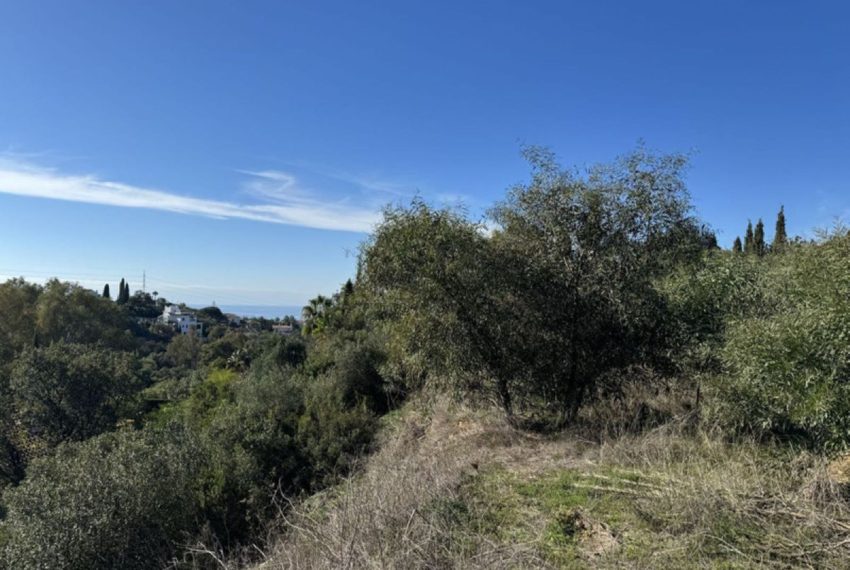 R4433683-Villa-For-Sale-Elviria-Detached-4-Beds-332-Built-5