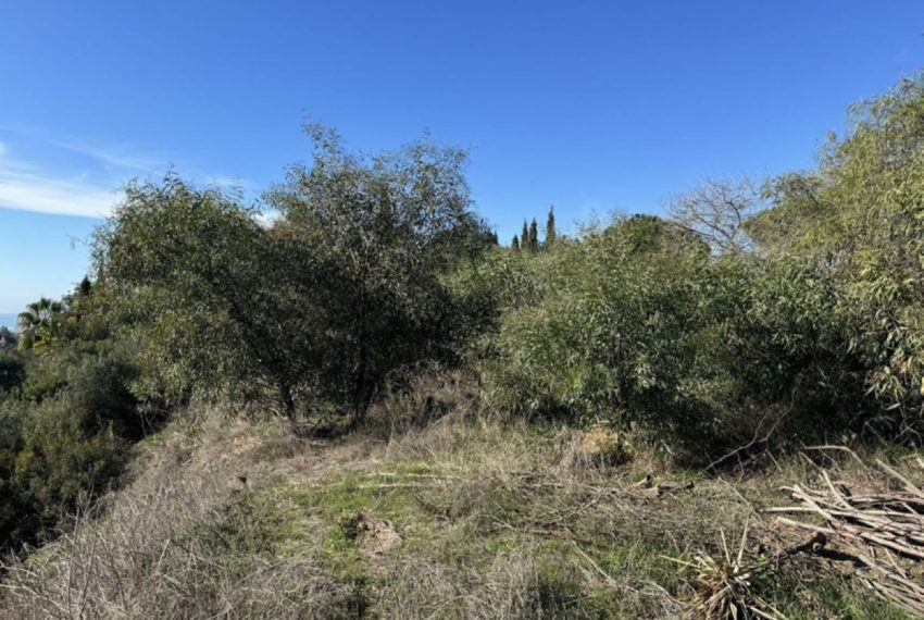 R4433683-Villa-For-Sale-Elviria-Detached-4-Beds-332-Built-6