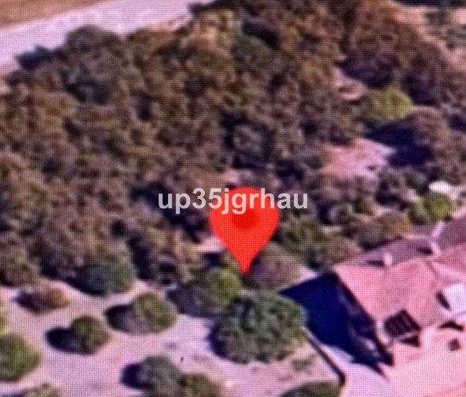 R4745227-Image 1-Detached - 5 Beds - 317 Built