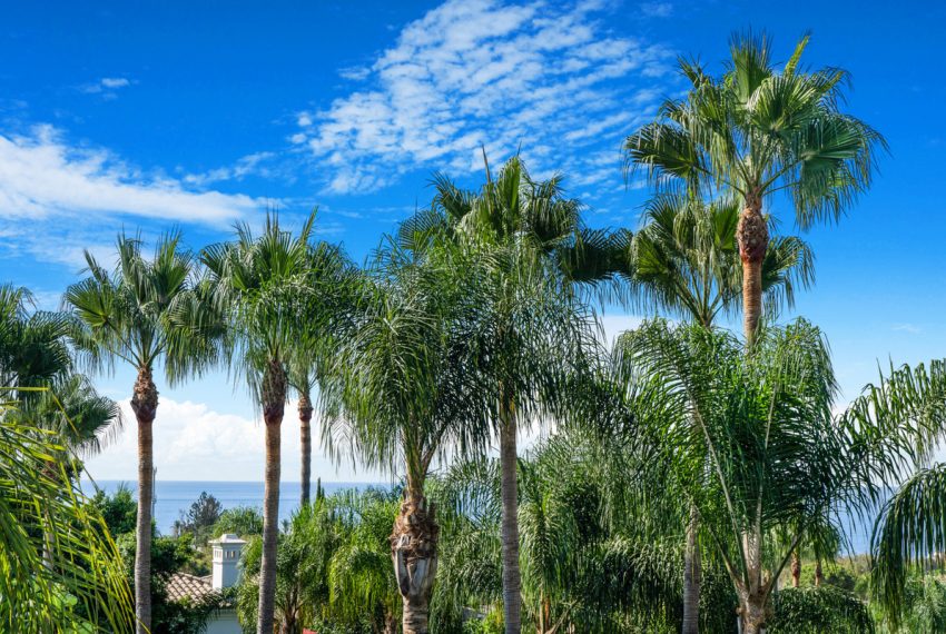 R4826392-Villa-For-Sale-The-Golden-Mile-Detached-5-Beds-550-Built-6