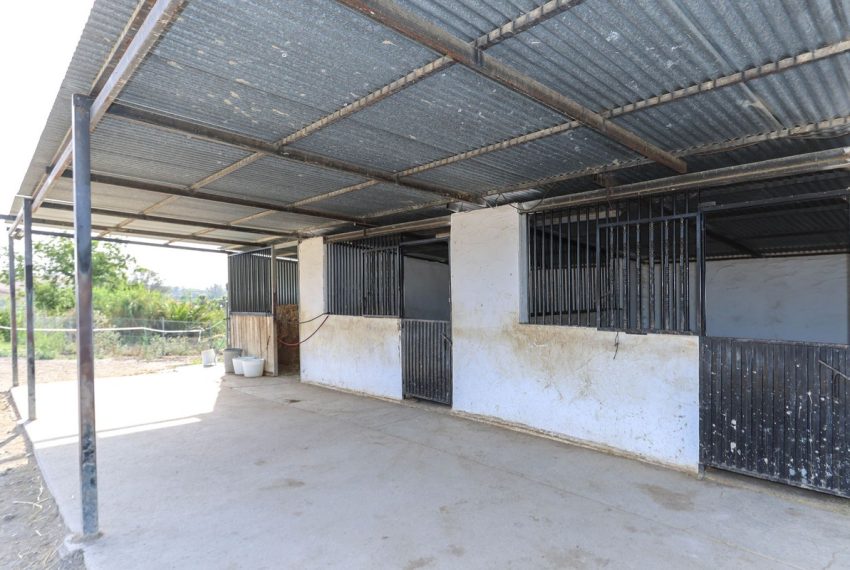 R5077336-Villa-For-Sale-Coin-Detached-5-Beds-255-Built-8