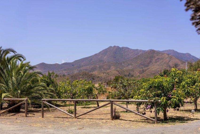 R5149885-Villa-For-Sale-Mijas-Finca-3-Beds-213-Built-18