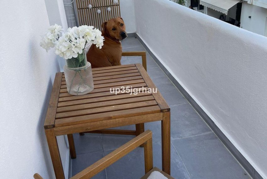 R5164174-Apartment-For-Sale-Estepona-Penthouse-1-Beds-70-Built-4