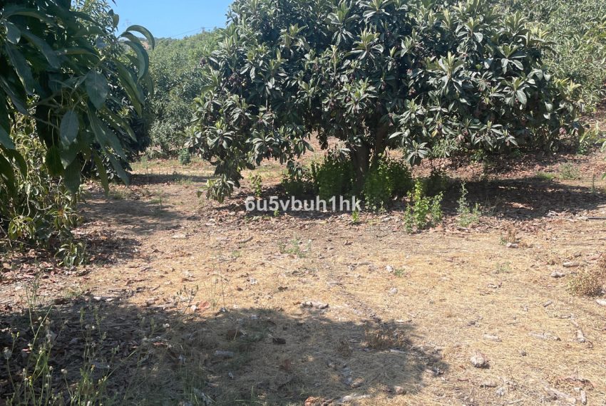 R5164480-Villa-For-Sale-Coin-Finca-2-Beds-166-Built-11