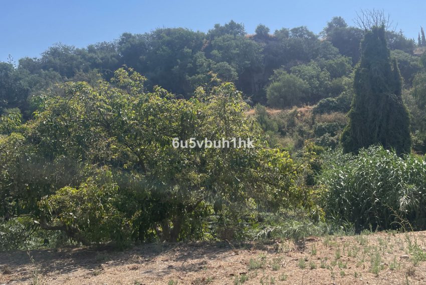 R5164480-Villa-For-Sale-Coin-Finca-2-Beds-166-Built-4