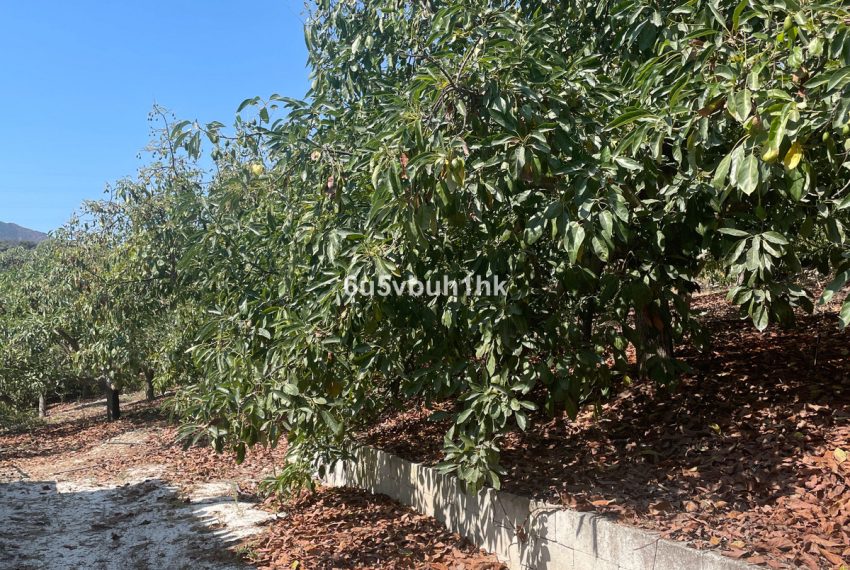 R5164480-Villa-For-Sale-Coin-Finca-2-Beds-166-Built-5