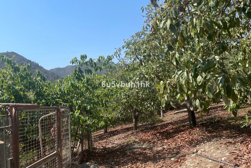 R5164480-Villa-For-Sale-Coin-Finca-2-Beds-166-Built-7