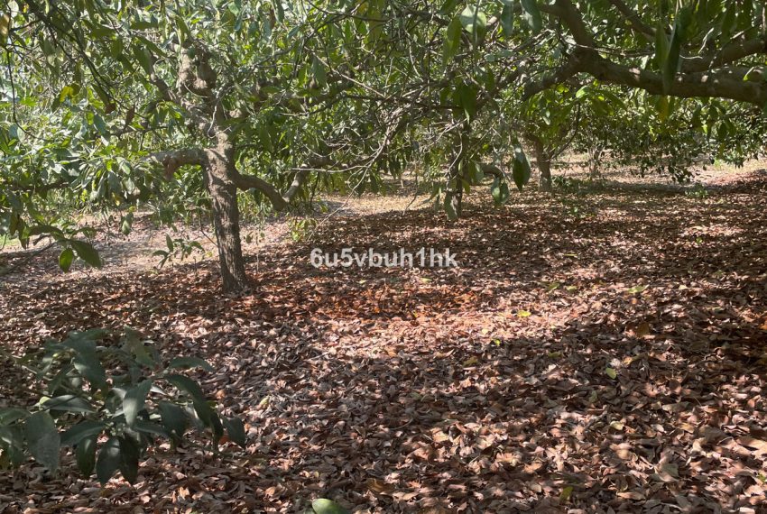 R5164480-Villa-For-Sale-Coin-Finca-2-Beds-166-Built-8