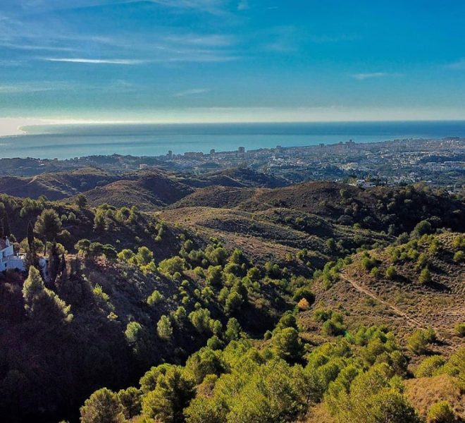 R5169331-Image 1-Detached - 4 Beds - 195 Built