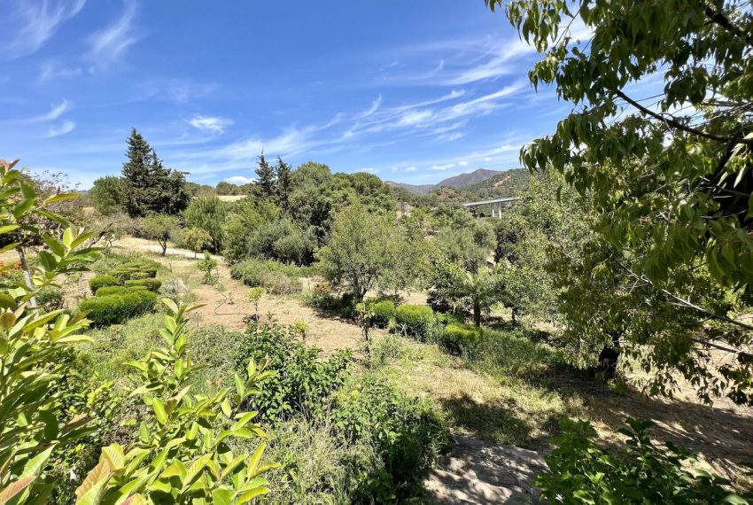 R4325152-Villa-For-Sale-Estepona-Detached-2-Beds-125-Built-19