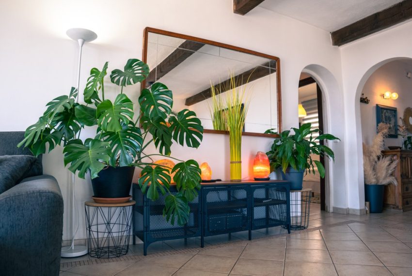 R5169826-Villa-For-Sale-Istan-Detached-4-Beds-204-Built-15