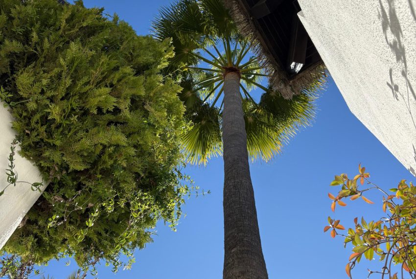 R5181655-Apartment-For-Sale-Marbella-Ground-Floor-2-Beds-245-Built-2