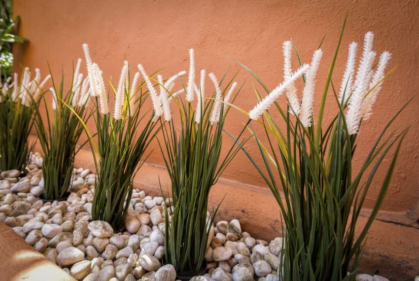 R5195074-Apartment-For-Sale-Nueva-Andalucia-Ground-Floor-2-Beds-118-Built-13