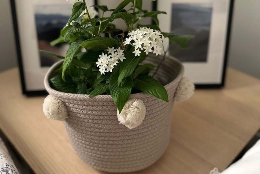 R5196886-Apartment-For-Sale-Nueva-Andalucia-Middle-Floor-3-Beds-112-Built-7