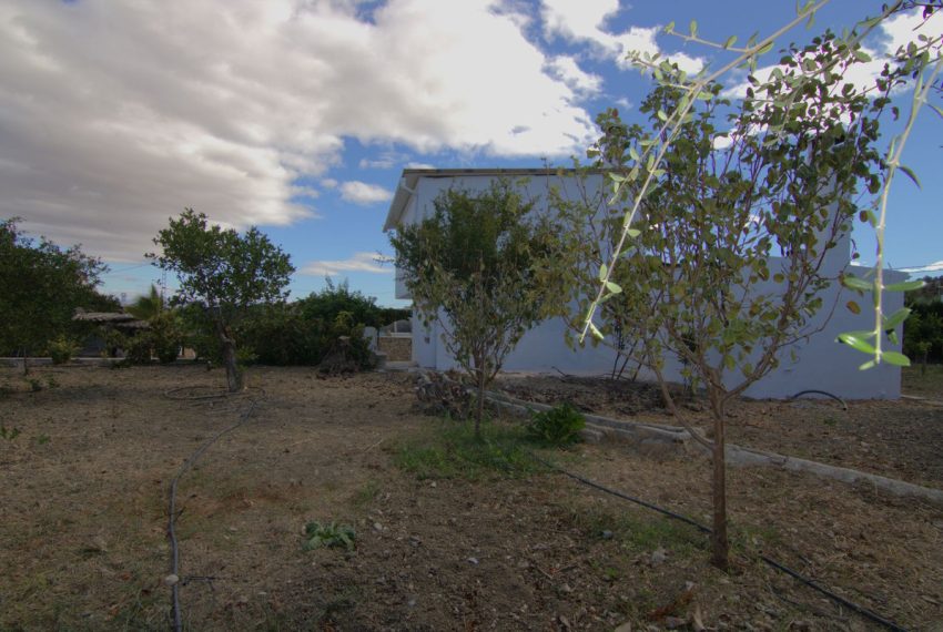 R5210221-Villa-For-Sale-Coin-Detached-3-Beds-103-Built-13