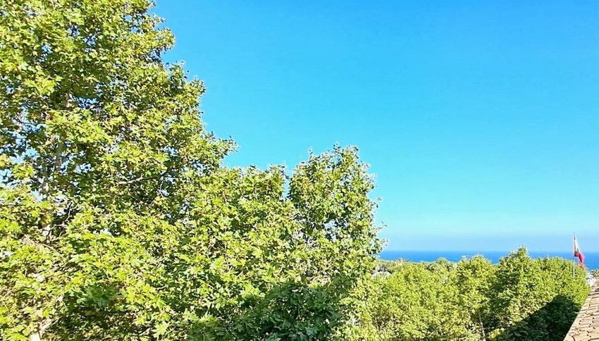 R5078362-Apartment-For-Sale-The-Golden-Mile-Middle-Floor-1-Beds-67-Built-17