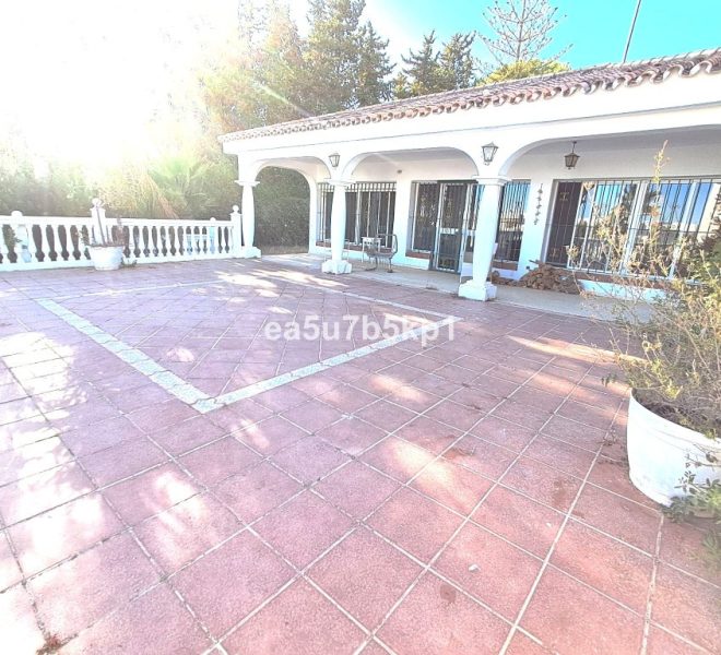 R5208004-Image 1-Detached - 5 Beds - 220 Built