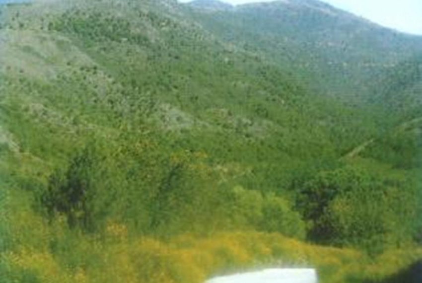 R5208115-Villa-For-Sale-Estepona-Finca-4-Beds-1500-Built-3