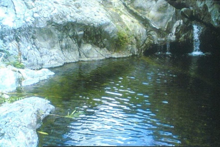 R5208115-Villa-For-Sale-Estepona-Finca-4-Beds-1500-Built-7