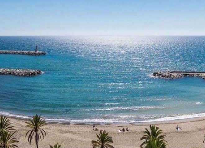 R5211853-Image 1-Detached - 14 Beds - 784 Built