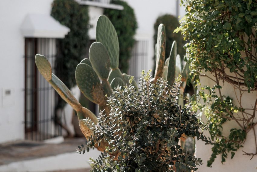 R5212939-Townhouse-For-Sale-Nueva-Andalucia-Terraced-2-Beds-139-Built-10