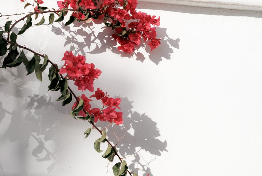 R5212939-Townhouse-For-Sale-Nueva-Andalucia-Terraced-2-Beds-139-Built-8