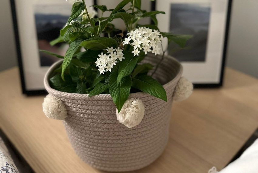 R5236573-Apartment-For-Sale-Marbella-Middle-Floor-Apartment-3-Beds-132-Built-19