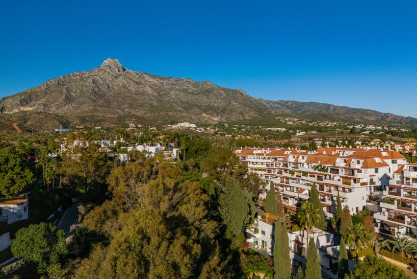 R5253784-Apartment-For-Sale-The-Golden-Mile-Ground-Floor-Apartment-4-Beds-470-Built-8