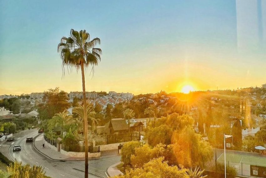 R5257876-Apartment-For-Sale-Aloha-Middle-Floor-Apartment-1-Beds-37-Built-1