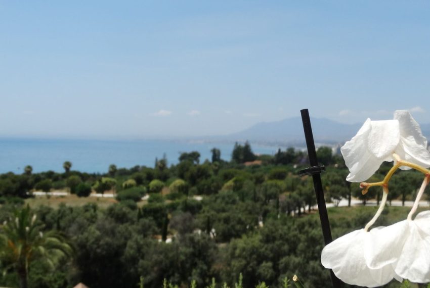 R5215360-Apartment-For-Sale-Rio-Real-Penthouse-3-Beds-241-Built-3