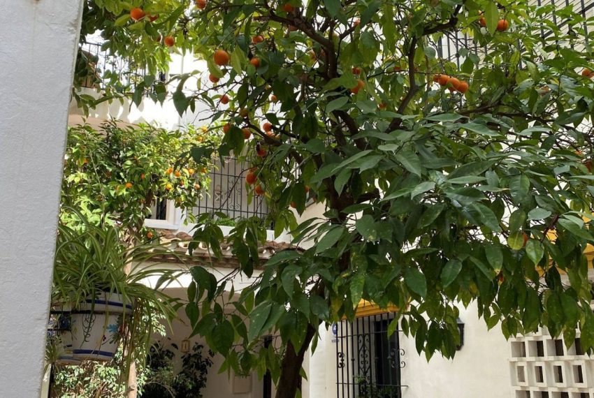 R5293519-Apartment-For-Sale-Los-Almendros-Middle-Floor-Apartment-2-Beds-93-Built-11