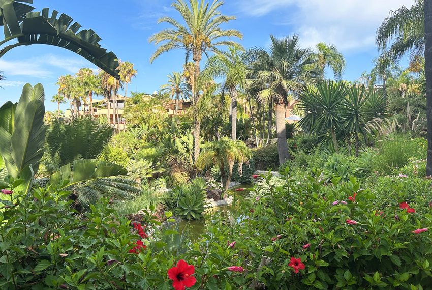 R5294533-Apartment-For-Sale-The-Golden-Mile-Middle-Floor-Apartment-2-Beds-206-Built-19