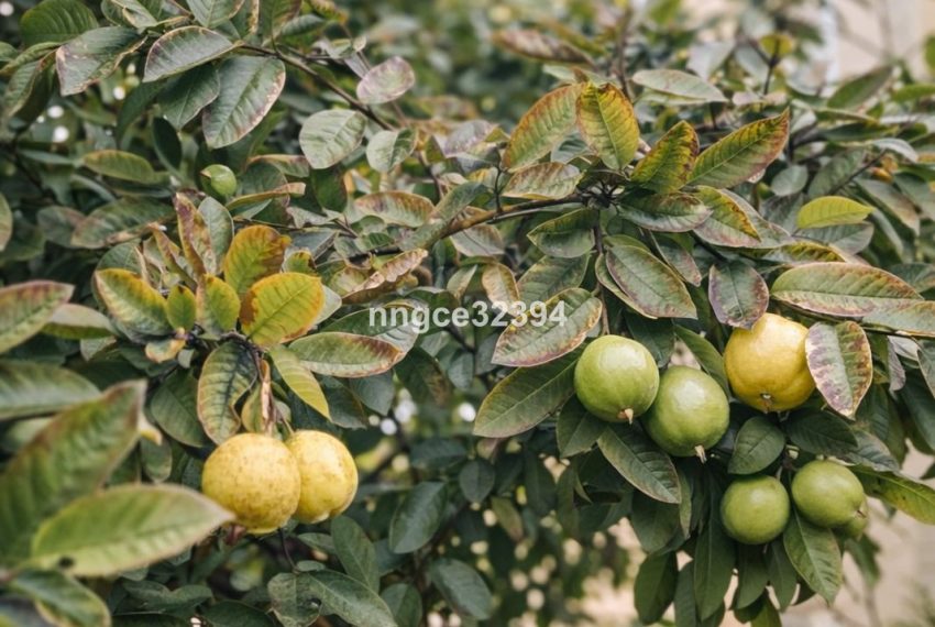 R5299771-Apartment-For-Sale-Puerto-Banus-Top-Floor-Apartment-3-Beds-107-Built-14