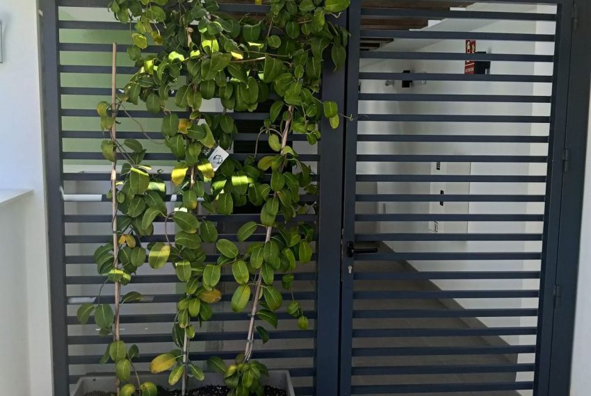 R5305666-Apartment-For-Sale-La-Cala-de-Mijas-Penthouse-2-Beds-135-Built-10