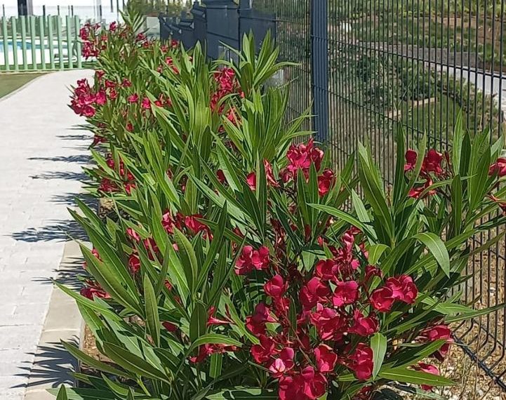 R5305666-Apartment-For-Sale-La-Cala-de-Mijas-Penthouse-2-Beds-135-Built-19