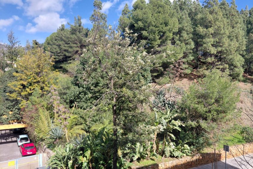 R5308255-Apartment-For-Sale-Marbella-Middle-Floor-Apartment-1-Beds-64-Built-12